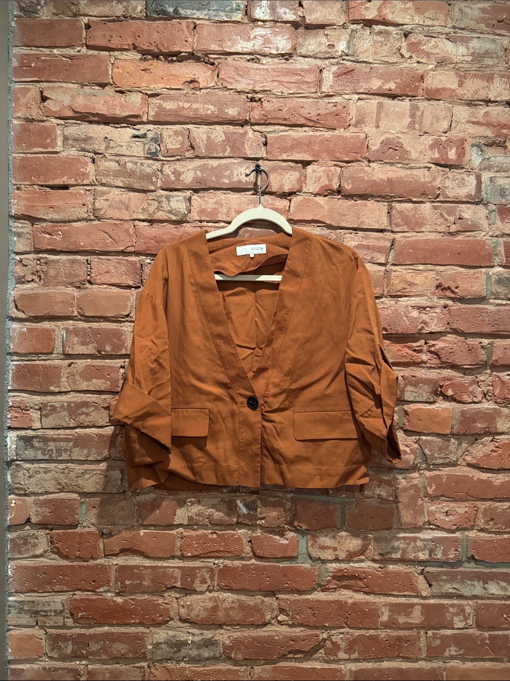 Zara Rust Cropped Single-Button top